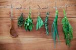 Various Herbs Hanging On Shabby Wooden Background.  Parsley ,ore Stock Photo