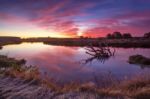 Colorful Autumn Dawn. Old Snag In The River Stock Photo