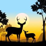 Deer Wildlife Indicates Safari Animals And Evening Stock Photo