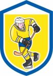 Ice Hockey Player With Stick Shield Cartoon Stock Photo