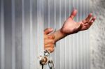 Hand In Jail Stock Photo