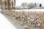 Snow And Ice On Water Of Pond Stock Photo