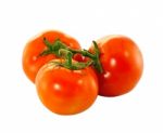 Tomato Stock Photo