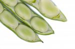 Broad Beans Stock Photo