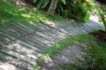 Green Garden Pathway In Summer Stock Photo