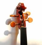 Violin Head  Stock Photo