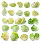 Cabbage Isolated On White Background Stock Photo