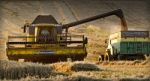 Harvest Time Stock Photo