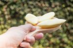 Hand On Serving Thai Traditional York Cookies Stock Photo