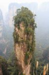 Hallelujah Mountain In Zhangjiajie National Park ( Tian Zhi Shan ) ( Tianzi Mountain Nature Reserve ) And Fog , China Stock Photo