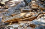 Loose Rocks In Zion Stock Photo