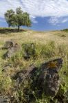 Rural Countryside Stock Photo