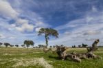 Spring Countryside Landscape Stock Photo