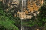 Purlingbrook Falls In Springbrook Stock Photo