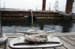 Details On A Deck Of A Yacht Stock Photo