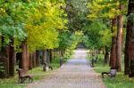 Autumn Landscape – Benches On A Beautiful Autumn Walkway In Pa Stock Photo