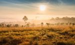 Lanscape Beautiful Sunrise Mountain And Foggy In Thailand Stock Photo