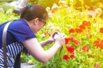 Female Photographer With Professional Digital Camera Stock Photo