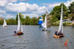Sailing On The River Thames Near Kingston-upon-thames Surrey Stock Photo