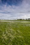 Spring Countryside Landscape Stock Photo