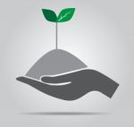 Growth Concept Tree In Hand  Icon Stock Photo