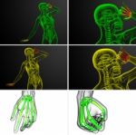 3d Rendering Illustration Of The Skeleton Hand Stock Photo