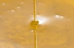 Pouring Olive Oil Liquid Stock Photo