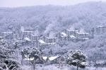 Deogyusan,korea - January 23: View Of Deogyusan Resort In Winter,south Korea On January 23, 2015 Stock Photo