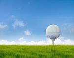 Golf Ball Stock Photo