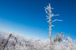 Deogyusan Mountains In Winter, Korea Stock Photo