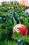 Red Ball And Light Bulb On Pine Tree Stock Photo