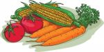 Vegetable Garden Crop Harvest Drawing Stock Photo