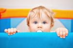 Closeup Of One Year Baby Boy Stock Photo