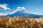 Fuji Mountains And Kawaguchiko Lake In Autumn, Japan Stock Photo