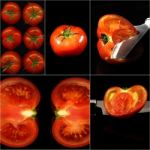 Tomatoes Collage Stock Photo