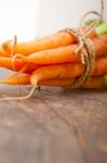 Baby Carrots Bunch Tied With Rope Stock Photo