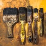 Oil Paint Brushes On Wood Painted Background Stock Photo