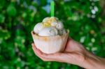 Coconut Milk Ice-cream In The Hand With Plastic Spoon And Green Stock Photo