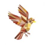 Sparrow Flying Low Polygon Stock Photo