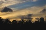 Sunset Behind Silhouettes Of Palm Trees And Buildings Stock Photo