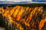 Grand Canyon Of Yellowstone Stock Photo