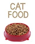 Brown Dry Cat Or Dog Food In Red Bowl Isolated On White Backgrou Stock Photo