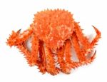 Alaskan King Crab In Isolated White Background Stock Photo