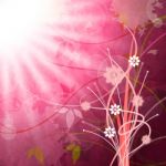 Sun Rays Means Flower Flowers And Pink Stock Photo