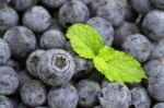 Blueberry Stock Photo