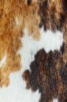 Cowhide Dapple Background Stock Photo