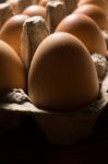 Eggs Poultry Concept Stock Photo