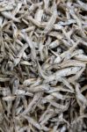 Dried Sardines Stock Photo