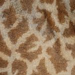 Giraffe Skin Stock Photo