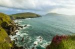 Cliffs On Dingle Peninsula Stock Photo